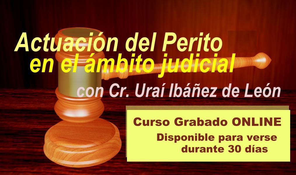Curso sobre Actuación del Perito en el ámbito judicial